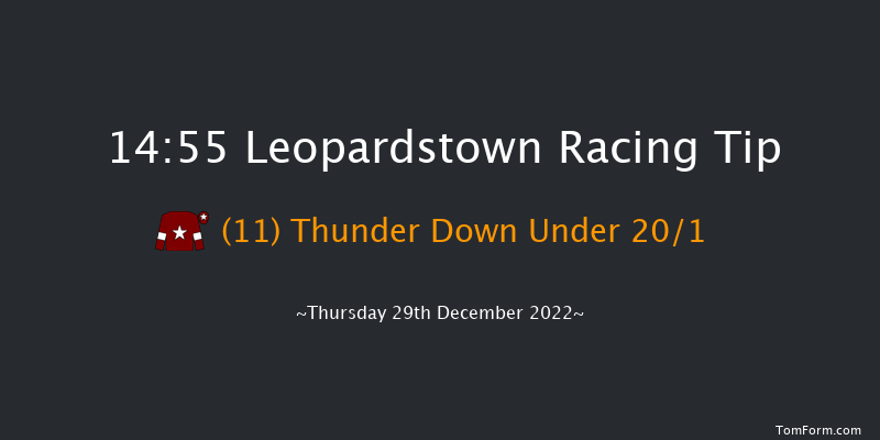 Leopardstown 14:55 Handicap Hurdle 20f Wed 28th Dec 2022