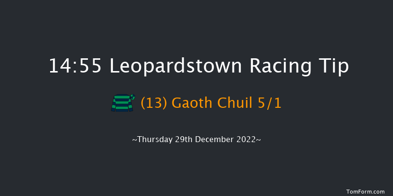 Leopardstown 14:55 Handicap Hurdle 20f Wed 28th Dec 2022