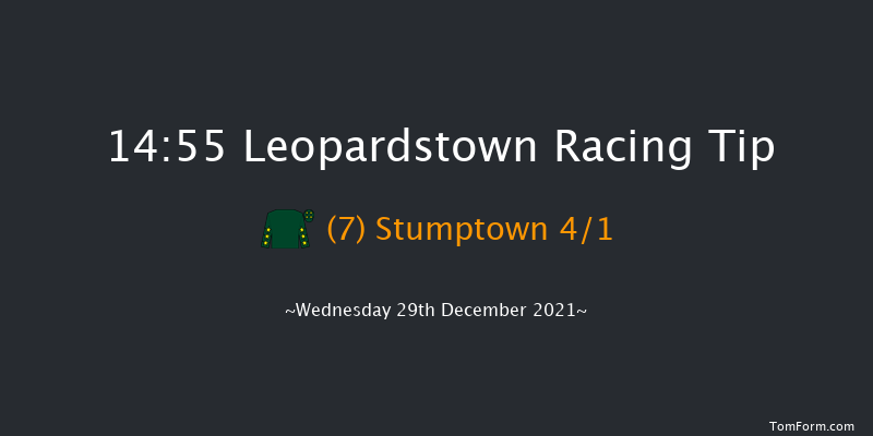 Leopardstown 14:55 Handicap Hurdle 20f Tue 28th Dec 2021