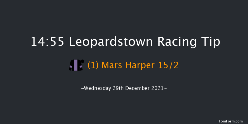 Leopardstown 14:55 Handicap Hurdle 20f Tue 28th Dec 2021