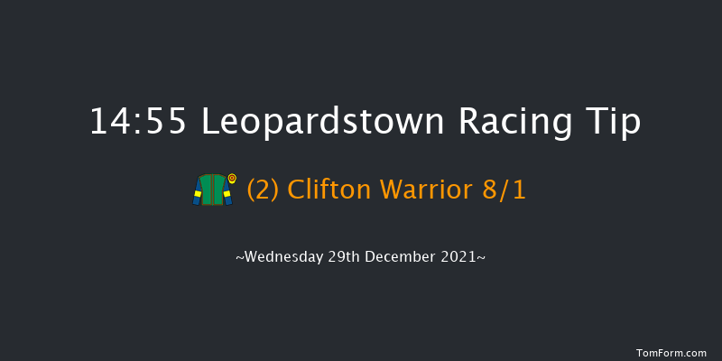 Leopardstown 14:55 Handicap Hurdle 20f Tue 28th Dec 2021