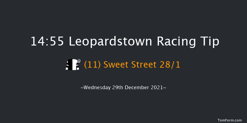 Leopardstown 14:55 Handicap Hurdle 20f Tue 28th Dec 2021