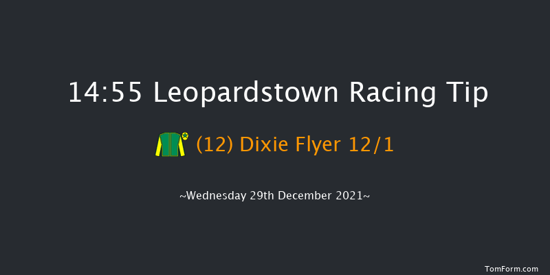 Leopardstown 14:55 Handicap Hurdle 20f Tue 28th Dec 2021