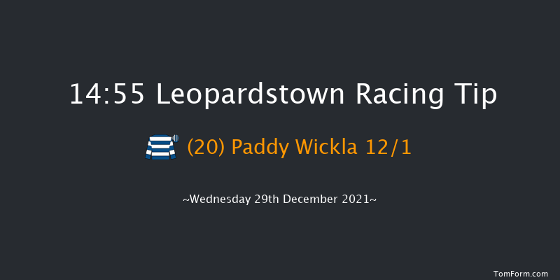 Leopardstown 14:55 Handicap Hurdle 20f Tue 28th Dec 2021