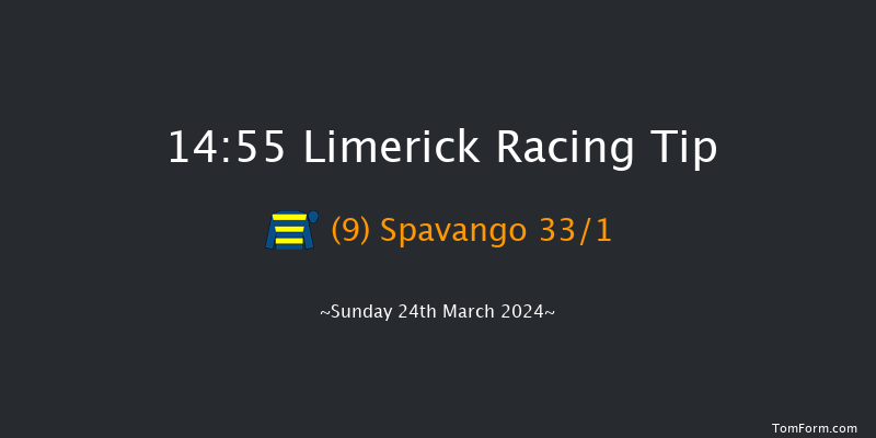 Limerick  14:55 Handicap Hurdle 16f Sun 10th Mar 2024