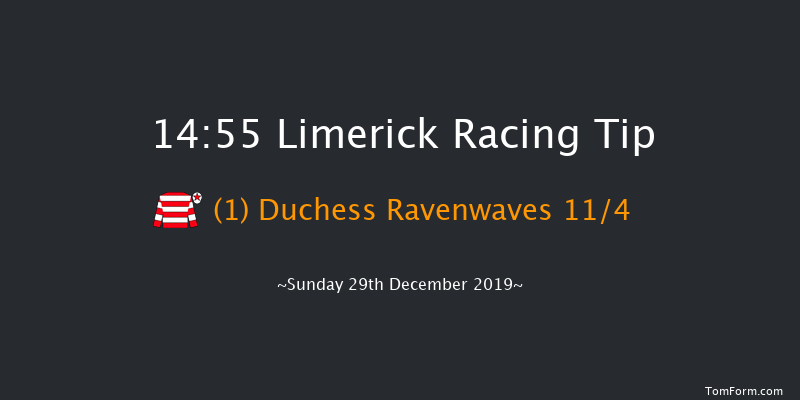 Limerick 14:55 Handicap Hurdle 19f Sat 28th Dec 2019