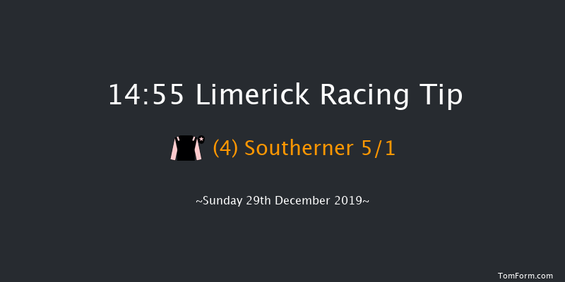 Limerick 14:55 Handicap Hurdle 19f Sat 28th Dec 2019