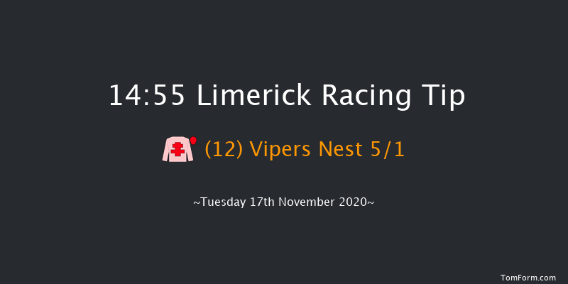 Bruff Handicap Hurdle (80-102) Limerick 14:55 Handicap Hurdle 21f Sun 11th Oct 2020