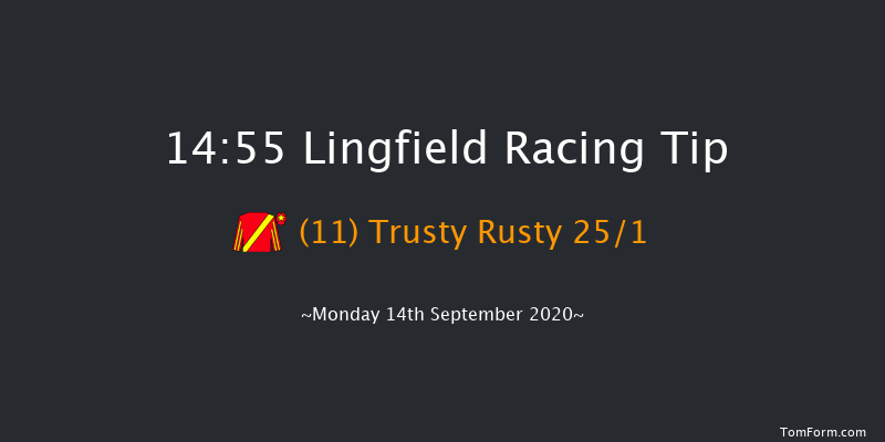 Betway Heed Your Hunch Handicap Lingfield 14:55 Handicap (Class 6) 7f Sat 12th Sep 2020