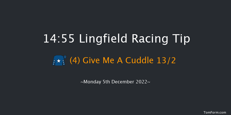 Lingfield 14:55 Handicap Hurdle (Class 4) 20f Wed 30th Nov 2022
