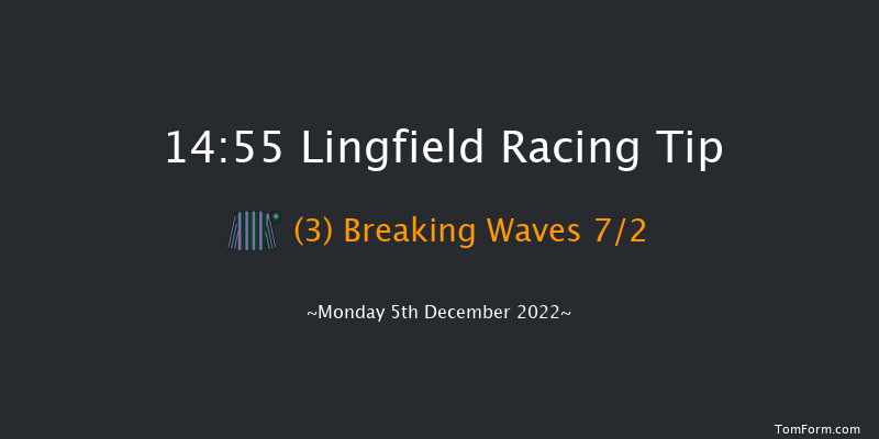 Lingfield 14:55 Handicap Hurdle (Class 4) 20f Wed 30th Nov 2022