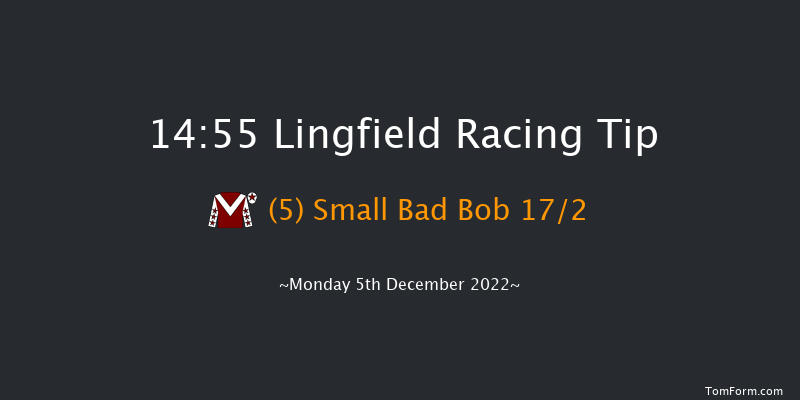 Lingfield 14:55 Handicap Hurdle (Class 4) 20f Wed 30th Nov 2022