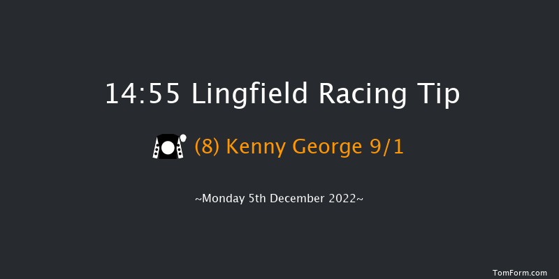 Lingfield 14:55 Handicap Hurdle (Class 4) 20f Wed 30th Nov 2022