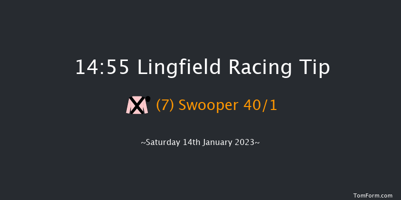 Lingfield 14:55 Stakes (Class 6) 5f Fri 13th Jan 2023