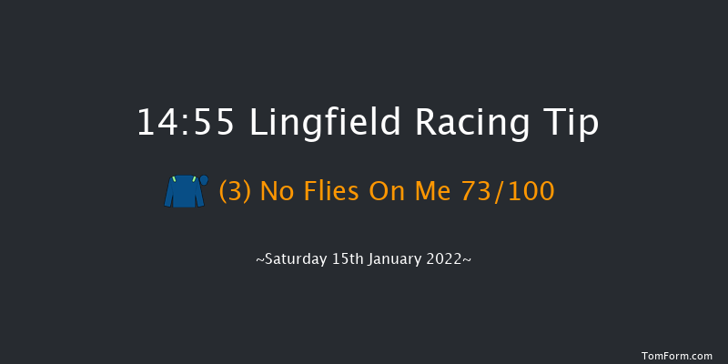 Lingfield 14:55 Handicap (Class 6) 10f Fri 14th Jan 2022