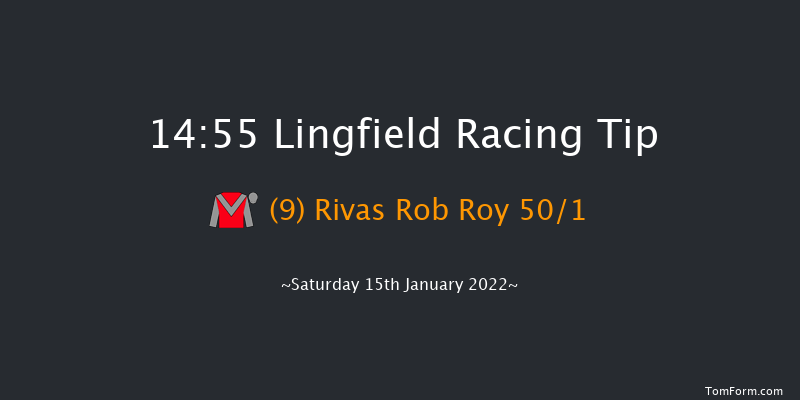 Lingfield 14:55 Handicap (Class 6) 10f Fri 14th Jan 2022
