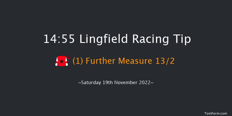 Lingfield 14:55 Handicap (Class 5) 10f Tue 15th Nov 2022