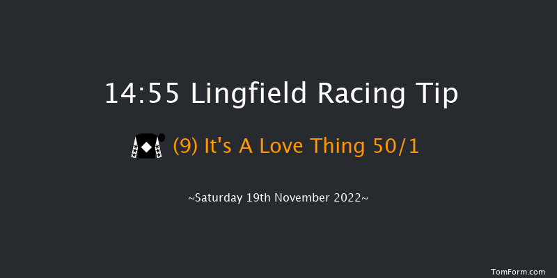 Lingfield 14:55 Handicap (Class 5) 10f Tue 15th Nov 2022
