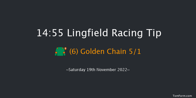 Lingfield 14:55 Handicap (Class 5) 10f Tue 15th Nov 2022