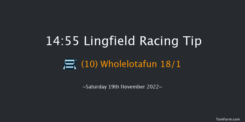 Lingfield 14:55 Handicap (Class 5) 10f Tue 15th Nov 2022