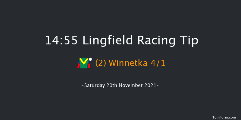 Lingfield 14:55 Handicap (Class 6) 7f Tue 16th Nov 2021