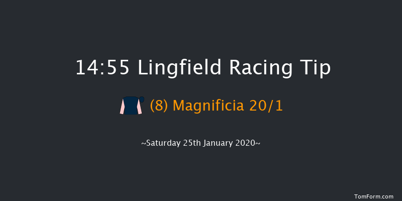 Lingfield 14:55 Maiden (Class 5) 7f Fri 24th Jan 2020