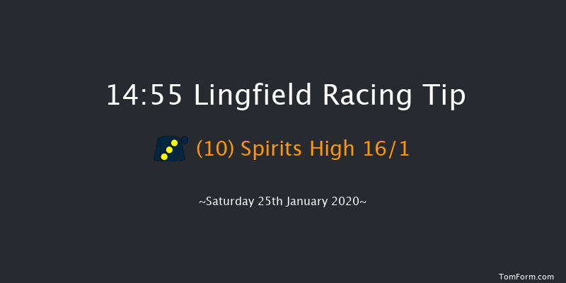 Lingfield 14:55 Maiden (Class 5) 7f Fri 24th Jan 2020
