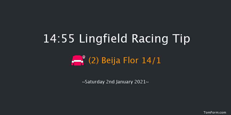 Betway Novice Stakes Lingfield 14:55 Stakes (Class 5) 6f Thu 31st Dec 2020