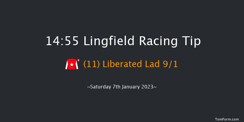 Lingfield 14:55 Handicap (Class 6) 12f Mon 2nd Jan 2023