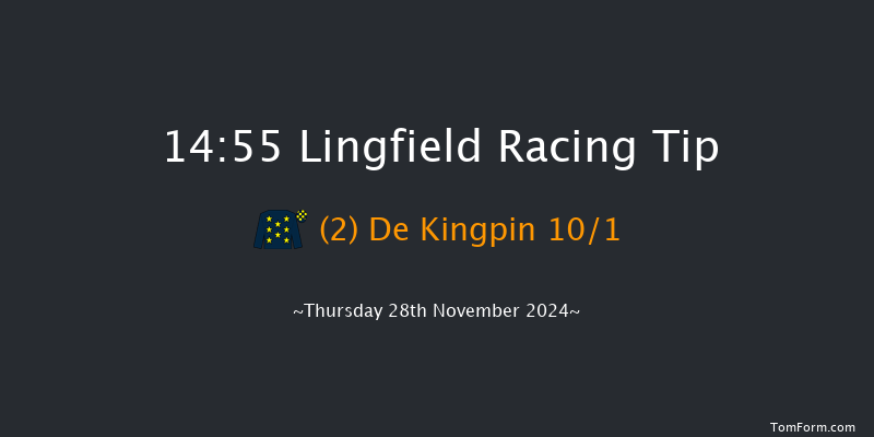 Lingfield  14:55 Maiden Hurdle (Class 4) 16f Thu 21st Nov 2024