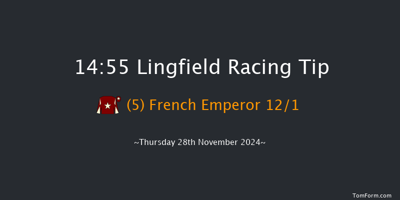 Lingfield  14:55 Maiden Hurdle (Class 4) 16f Thu 21st Nov 2024