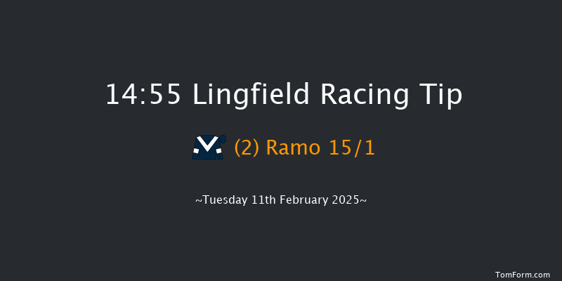 Lingfield  14:55 Handicap Chase (Class 3) 24f Fri 7th Feb 2025