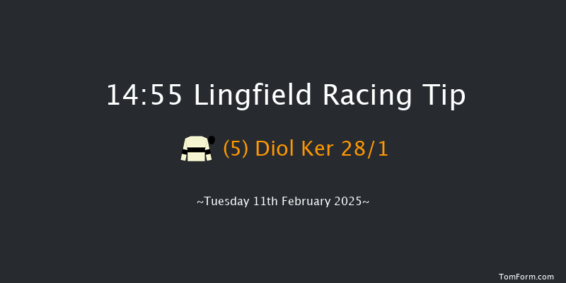 Lingfield  14:55 Handicap Chase (Class 3) 24f Fri 7th Feb 2025