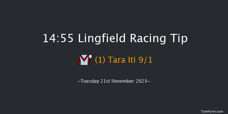 Lingfield 14:55 Handicap Hurdle (Class 5) 16f Sat 18th Nov 2023