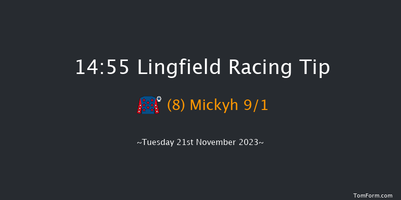Lingfield 14:55 Handicap Hurdle (Class 5) 16f Sat 18th Nov 2023