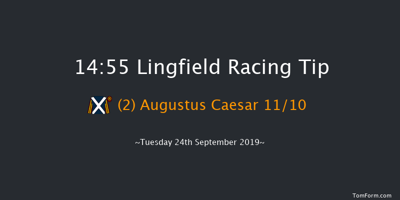 Lingfield 14:55 Handicap (Class 5) 5f Sat 14th Sep 2019