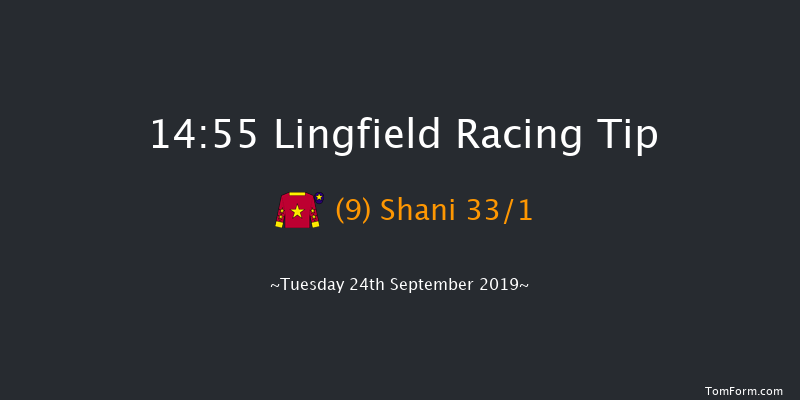 Lingfield 14:55 Handicap (Class 5) 5f Sat 14th Sep 2019
