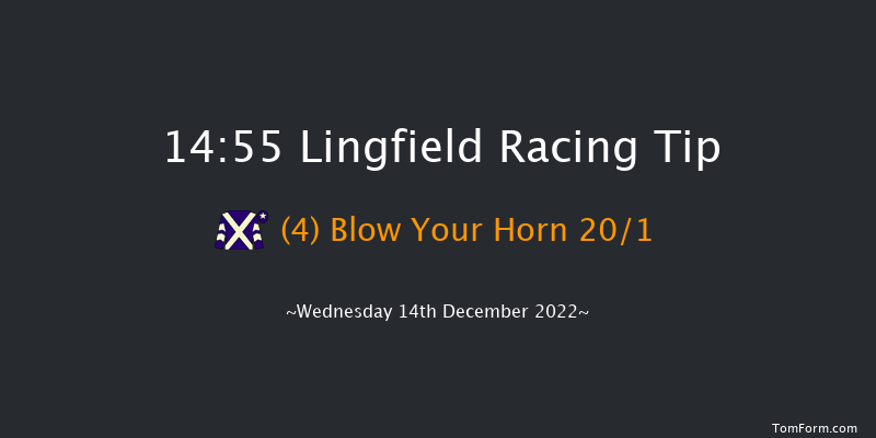 Lingfield 14:55 Handicap (Class 4) 10f Mon 12th Dec 2022