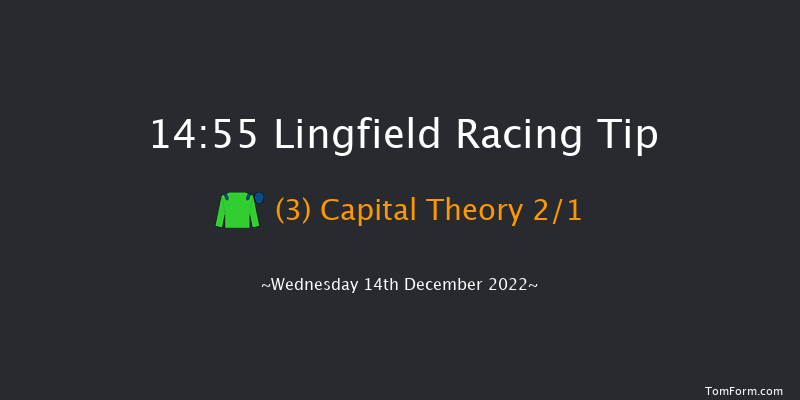 Lingfield 14:55 Handicap (Class 4) 10f Mon 12th Dec 2022