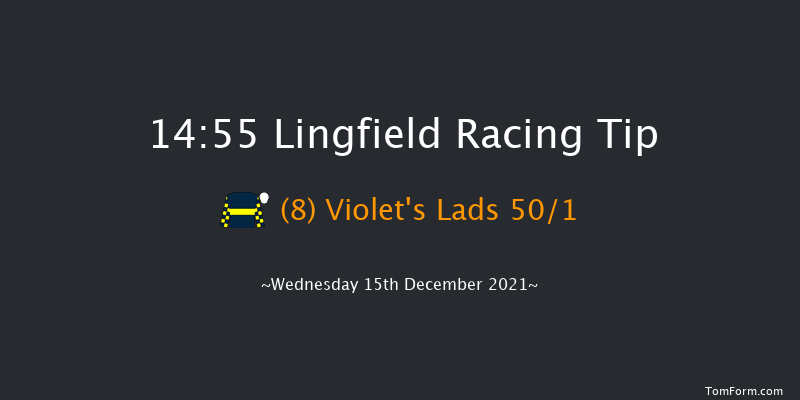 Lingfield 14:55 Handicap (Class 6) 10f Wed 8th Dec 2021