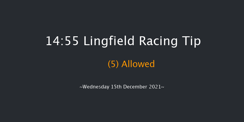 Lingfield 14:55 Handicap (Class 6) 10f Wed 8th Dec 2021