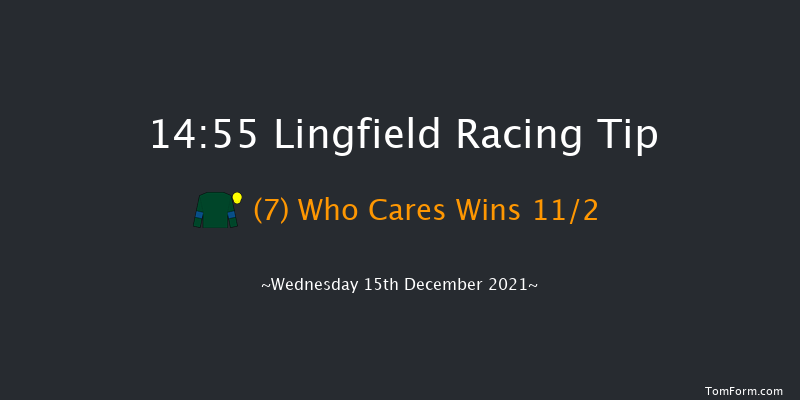 Lingfield 14:55 Handicap (Class 6) 10f Wed 8th Dec 2021