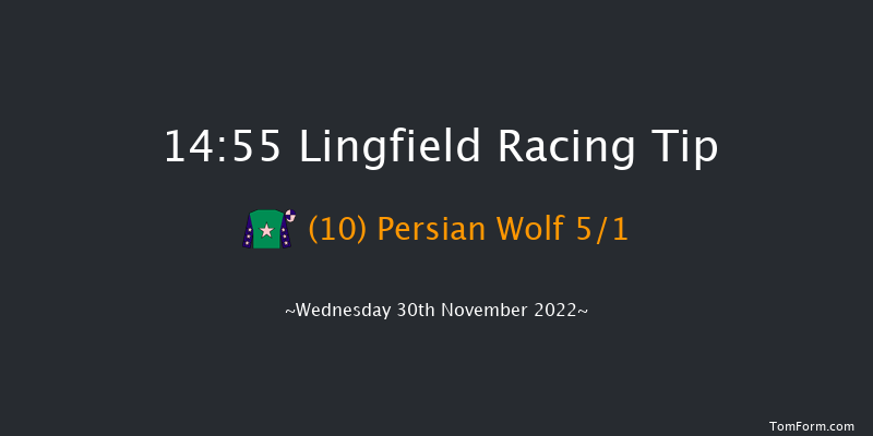 Lingfield 14:55 Handicap (Class 6) 12f Tue 29th Nov 2022