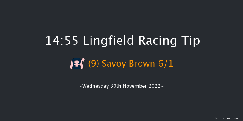 Lingfield 14:55 Handicap (Class 6) 12f Tue 29th Nov 2022