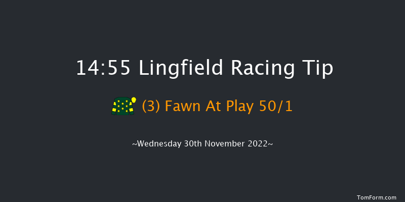 Lingfield 14:55 Handicap (Class 6) 12f Tue 29th Nov 2022