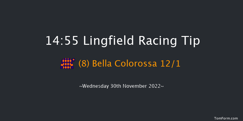 Lingfield 14:55 Handicap (Class 6) 12f Tue 29th Nov 2022