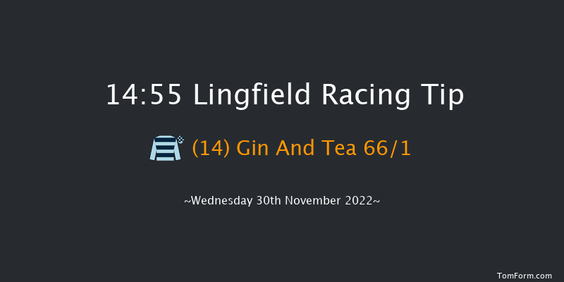 Lingfield 14:55 Handicap (Class 6) 12f Tue 29th Nov 2022