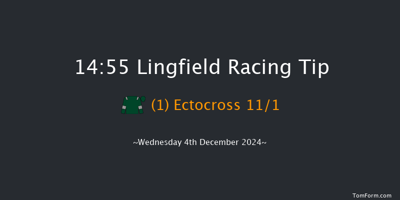 Lingfield  14:55 Handicap (Class 6) 12f Tue 3rd Dec 2024