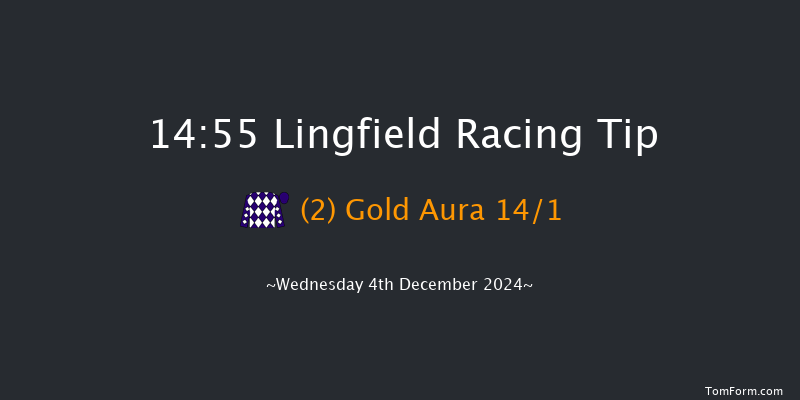 Lingfield  14:55 Handicap (Class 6) 12f Tue 3rd Dec 2024