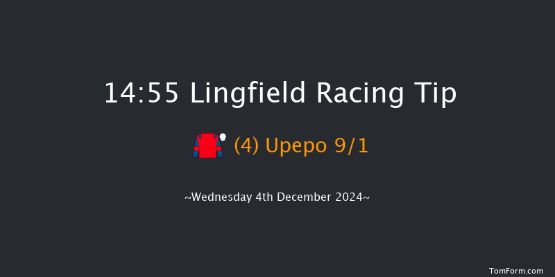 Lingfield  14:55 Handicap (Class 6) 12f Tue 3rd Dec 2024
